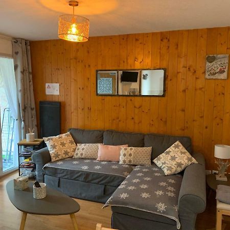 Appartement Tt Confort Au Coeur Des Montagnes Avec Vue Sur Les Montagnes Wifi Luz-Saint-Sauveur Eksteriør billede
