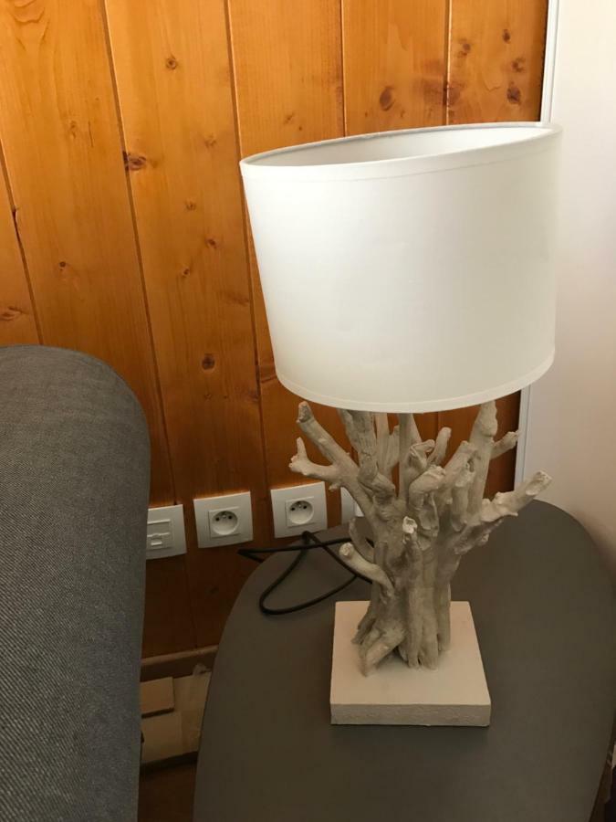 Appartement Tt Confort Au Coeur Des Montagnes Avec Vue Sur Les Montagnes Wifi Luz-Saint-Sauveur Eksteriør billede